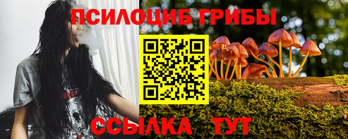 Магадан  Псилоцибиновые грибы мицелий  Вход с VPN  Псилоцибиновые грибы мицелий 